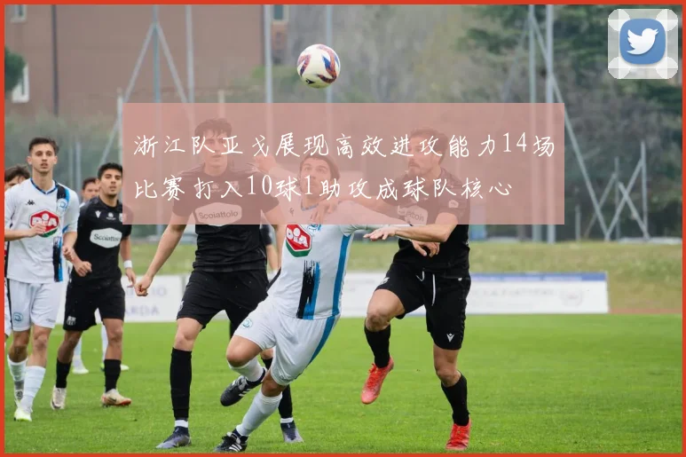 浙江队亚戈展现高效进攻能力14场比赛打入10球1助攻成球队核心