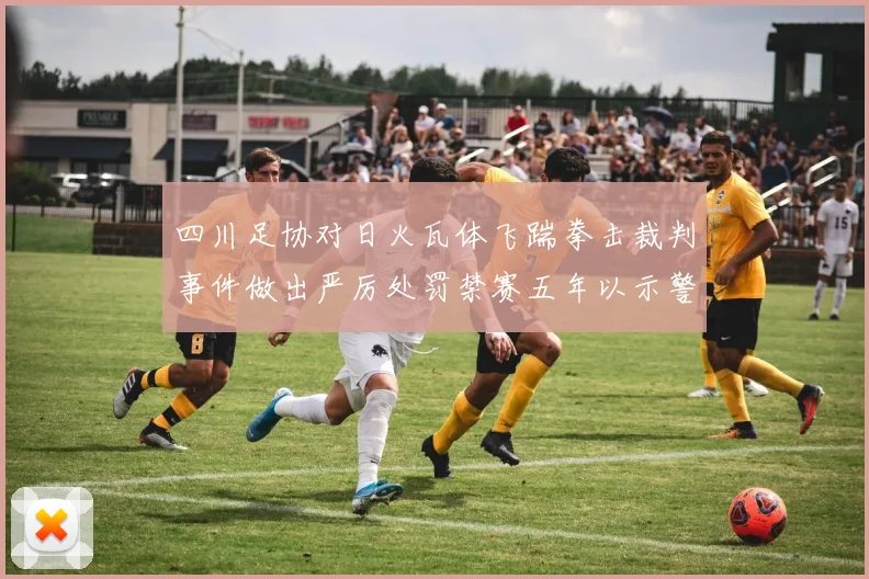 四川足协对日火瓦体飞踹拳击裁判事件做出严厉处罚禁赛五年以示警戒