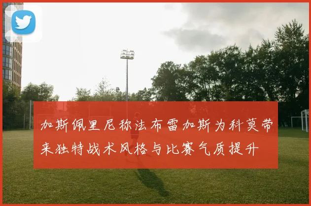 加斯佩里尼称法布雷加斯为科莫带来独特战术风格与比赛气质提升